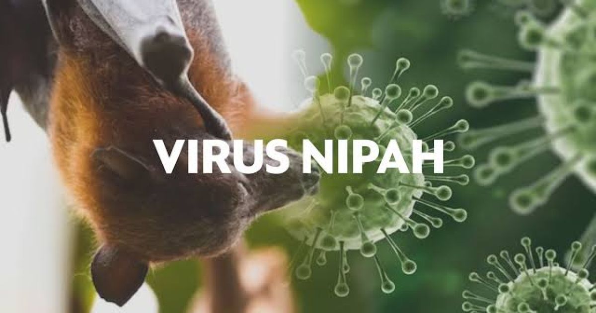 Kemenkes Ingatkan Ancaman Virus Nipah, Penyakit Zoonotik Mematikan dari Kelelawar