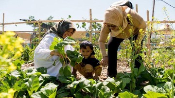 Program buruan SAE Pemkot Bandung (Foto: Istimewa)