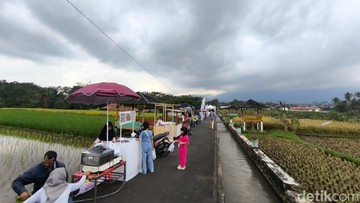 Pesona Sawah Lope Kuningan, Destinasi Ngabuburit Estetik di Kaki Ciremai