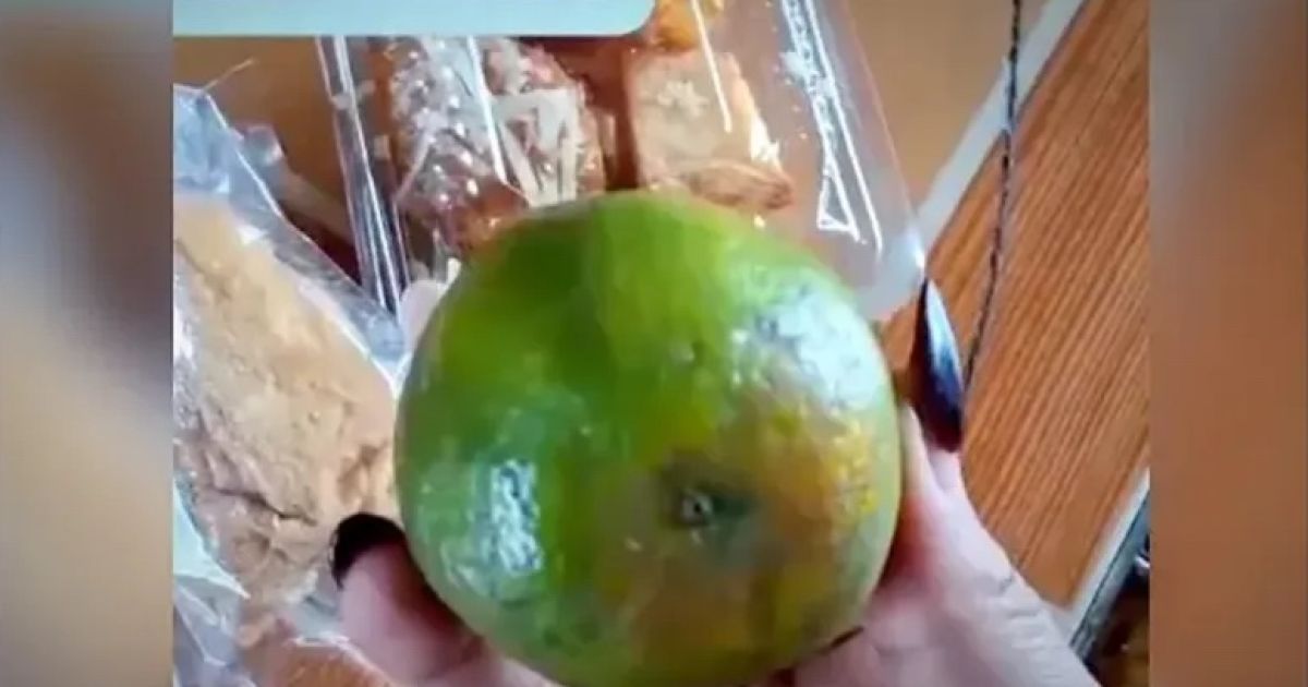 Menu Makan Bergizi Gratis Dikritik, SPPG Bojonegoro Seret Akun TikTok ke Polisi