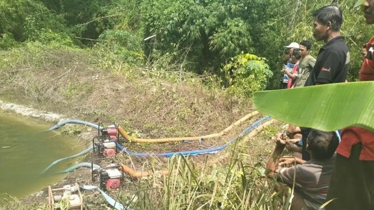 Maut Mengintai di Embung Weslic Lamongan, Nyawa Bocah 8 Tahun Tak Tertolong