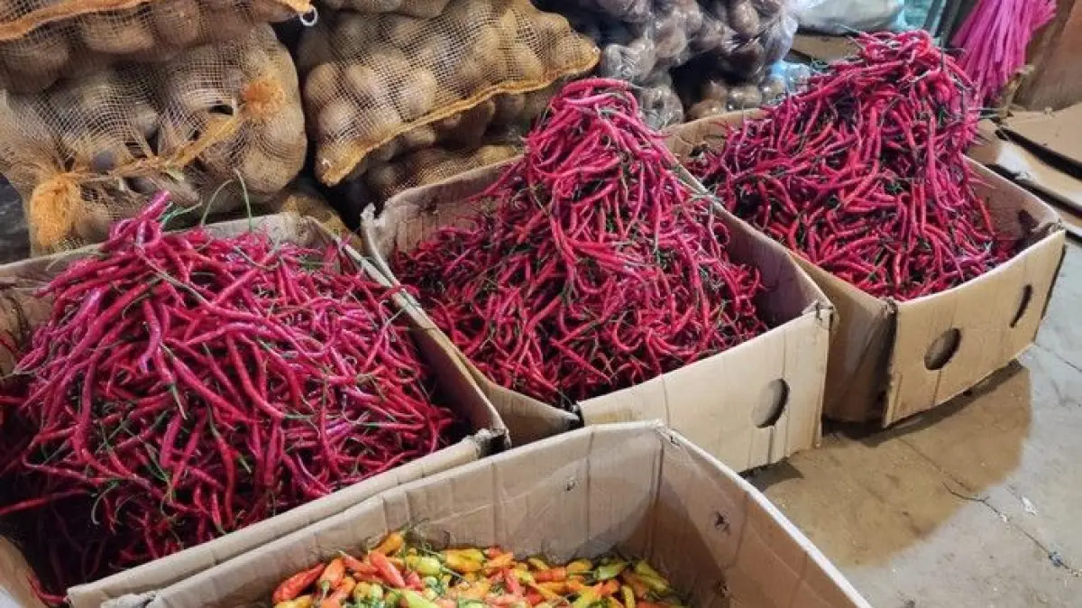 Ilustrasi cabai (Foto: Istimewa/Kementan)