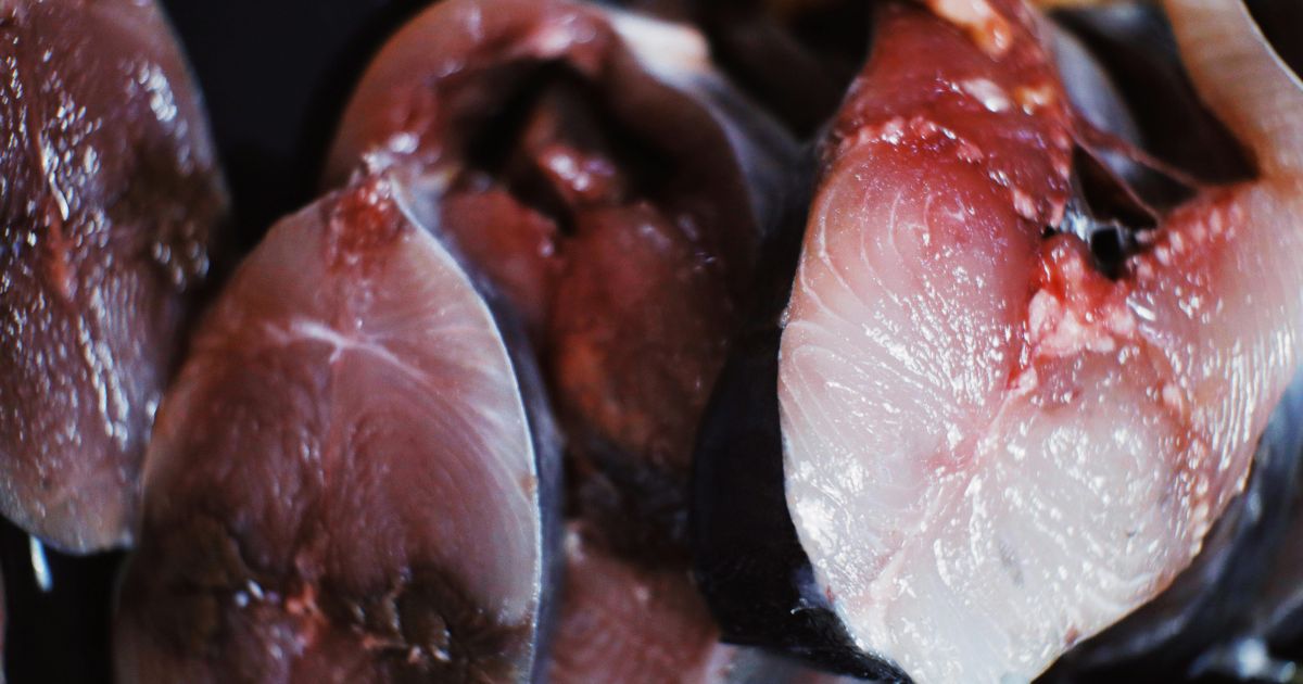 Ilustrasi Daging Ikan Lele Mentah (Foto Pexels)