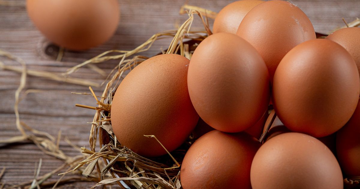 Kupas Tuntas Nutrisi: Menguak Keunggulan Komparatif Telur Omega dan Telur Kampung