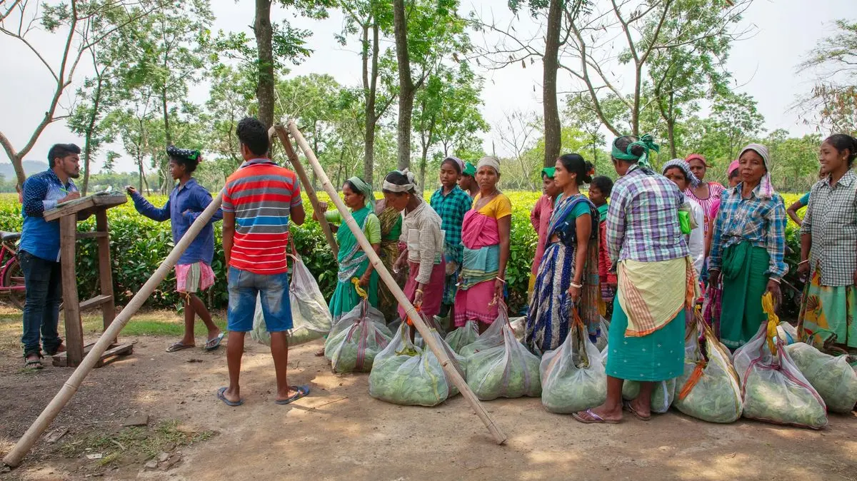 Kemensos Cairkan PKH dan BPNT April 2026: Panduan Cek Penerima dan Jadwal Pencairan Terbaru