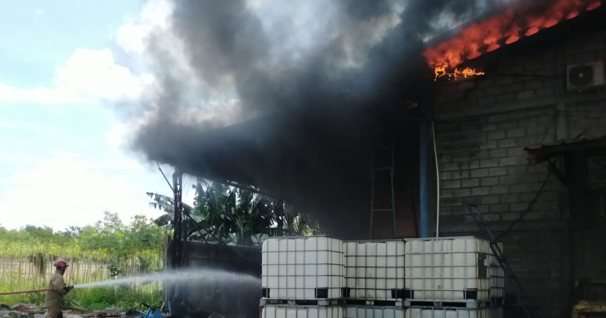 Dugaan Korsleting Picu Amukan Api di Pabrik Kasur Bogor, Lima Unit Damkar Bergerak Cepat