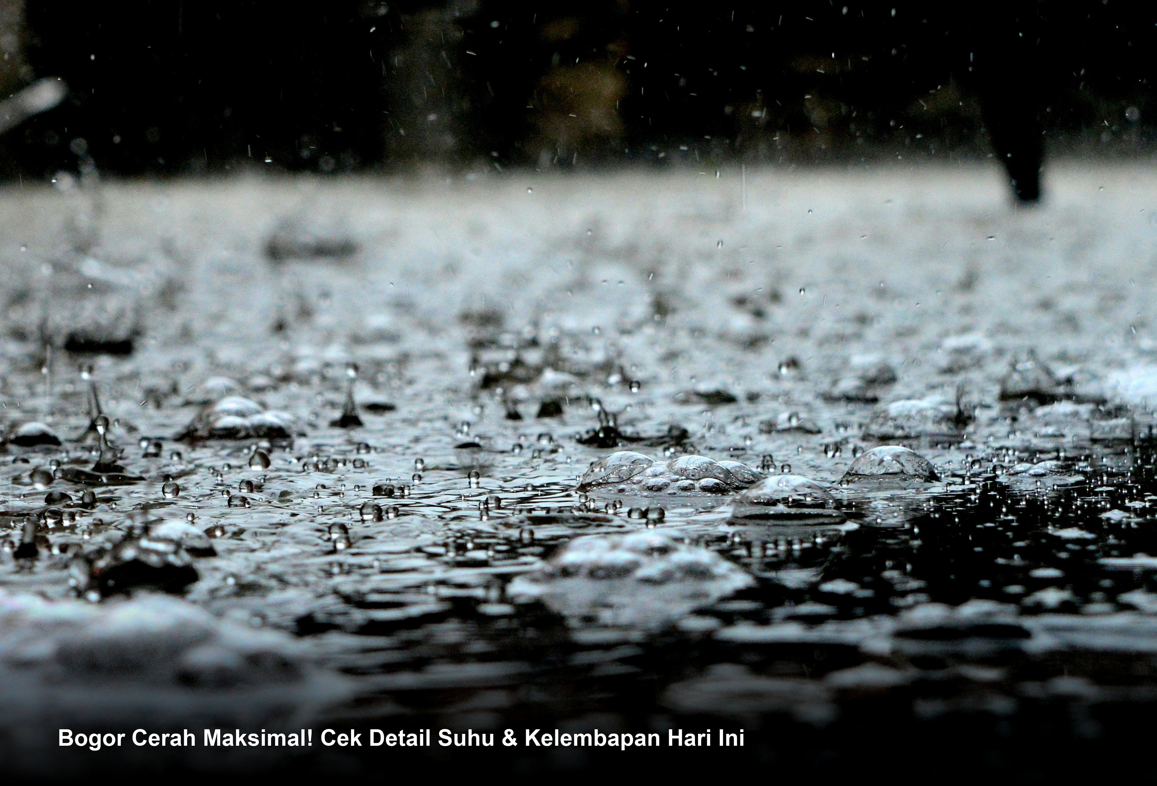 Bogor Cerah Maksimal! Cek Detail Suhu & Kelembapan Hari Ini