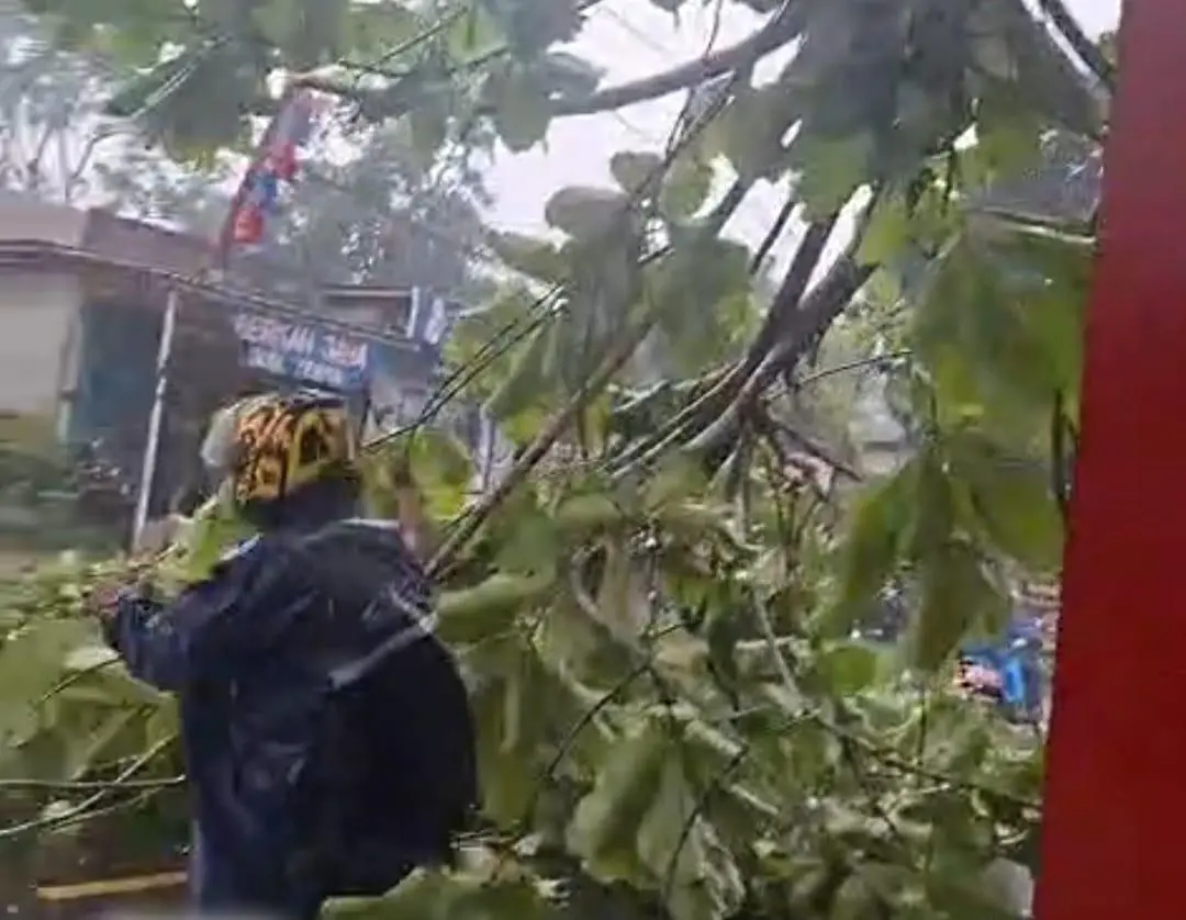 Hujan Deras dan Angin Kencang, Putus Akses jalan nasional, pohon Besar Melintang di Jalan jayanti