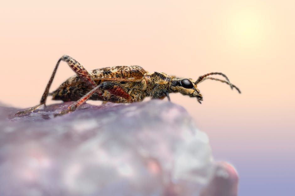 Kunci Keberhasilan Capricorn: Menjaga Keseimbangan Karir dan Kesehatan