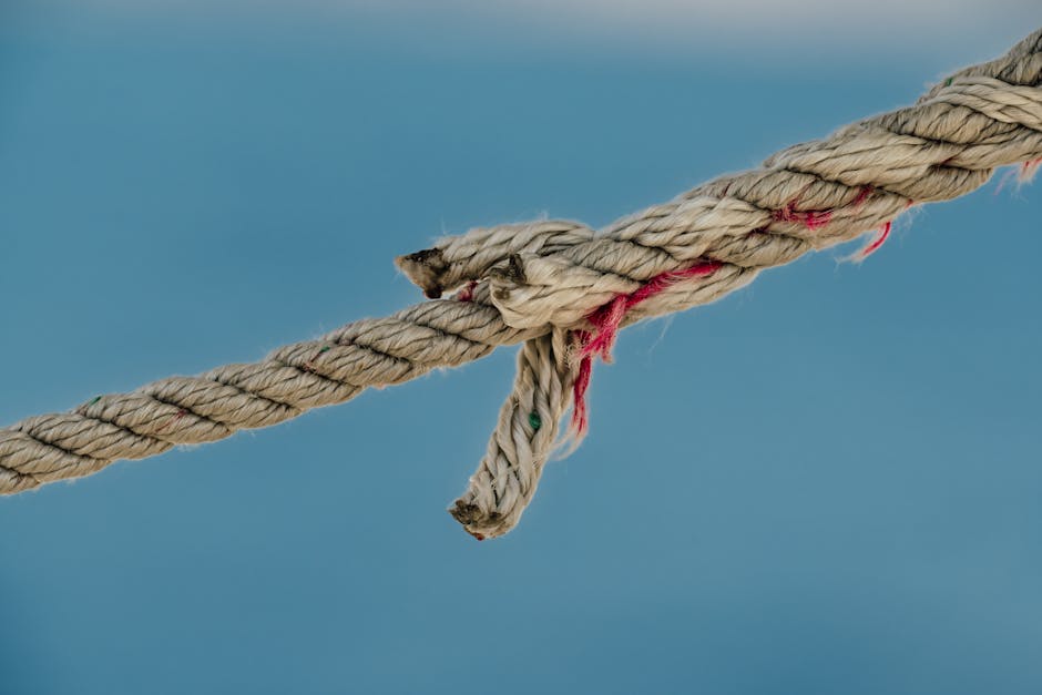 Strategi Harian Berdasarkan Zodiak: Kunci Sukses Keuangan dan Karir